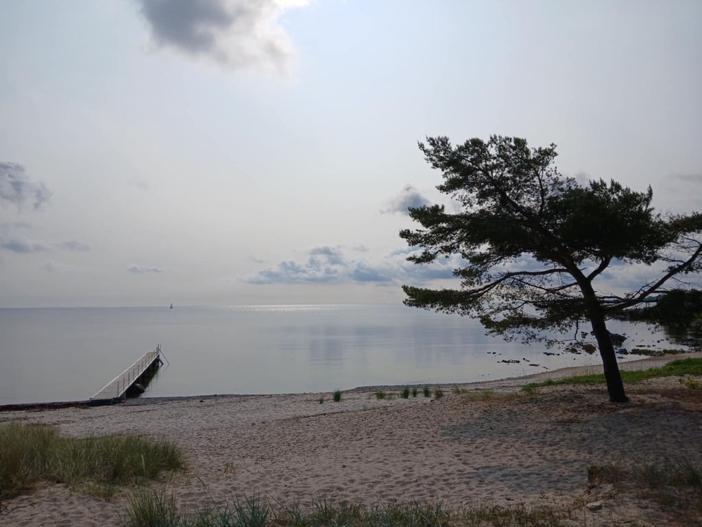 Melsted strand/Beach in a walking distance from our house.