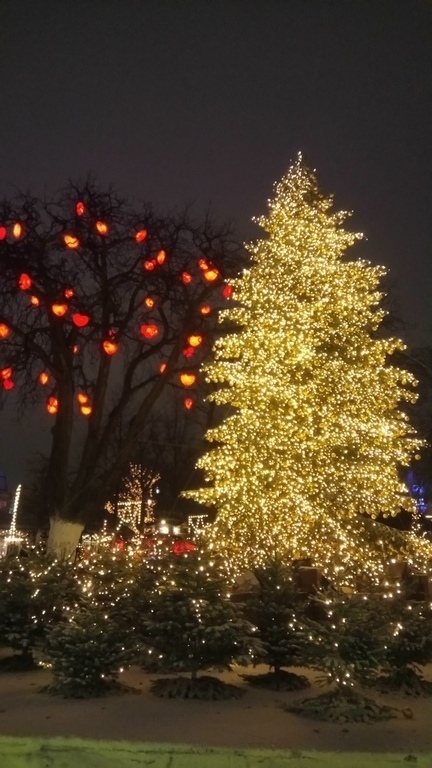 Tivoli during Christmas