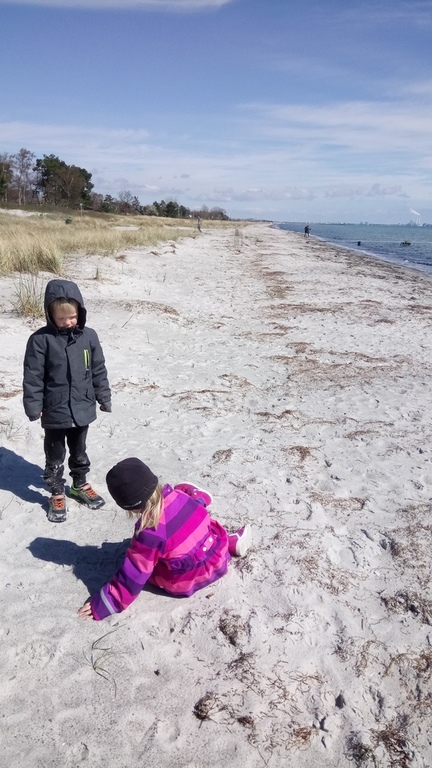 The beach during winter
