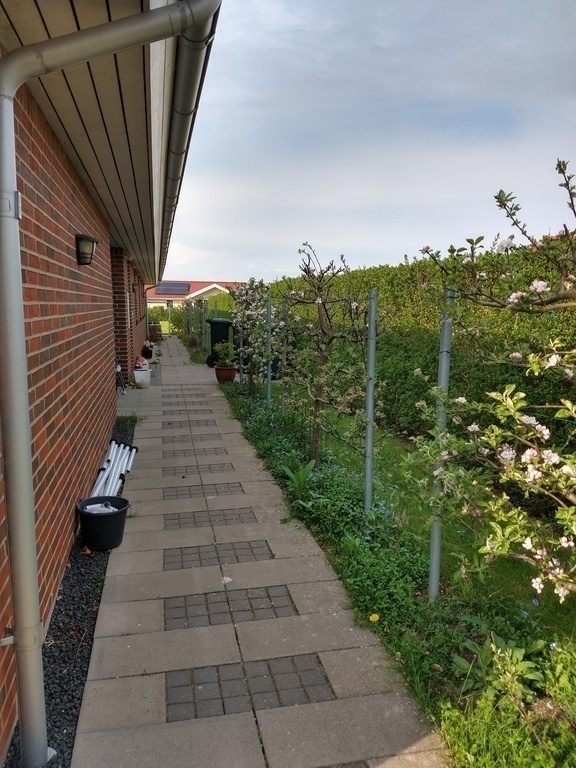 Entry to the house. Apple trees to the right.