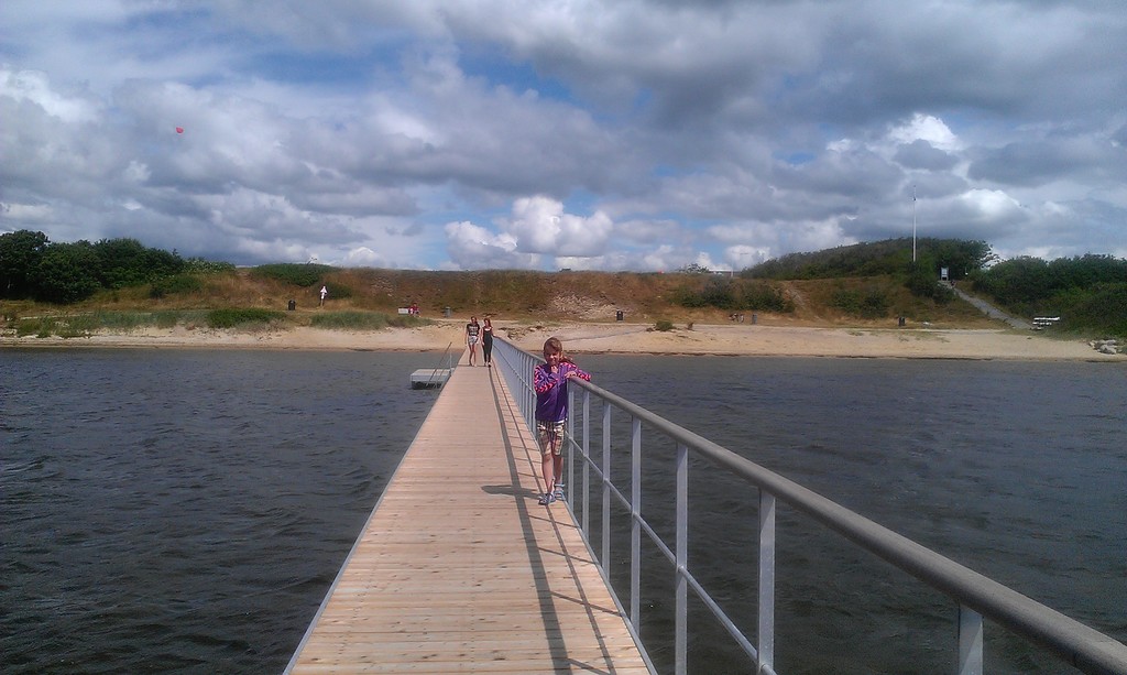 Ringkøbing Fjord - beach