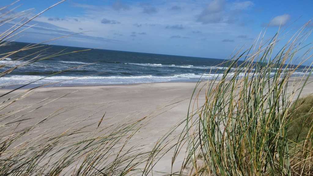 North Sea 15 km from No