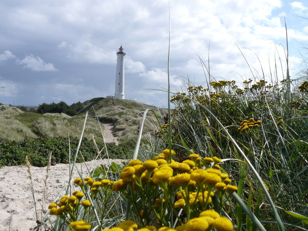 The lighthouse Lyngvig Fyr - 21 min. (24 km)