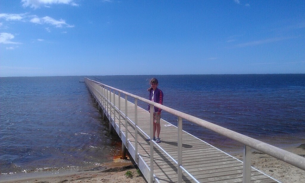 Ringkøbing Fjord beach