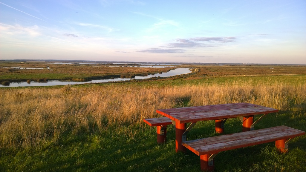 The river Skjern Å - Denmark's only river delta