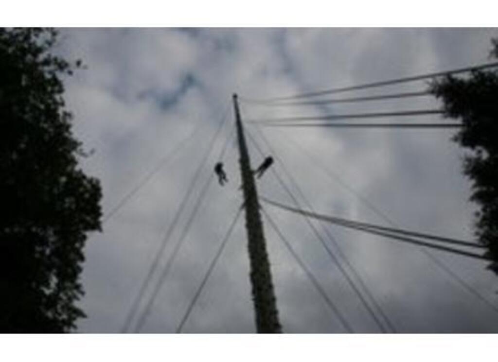 Denmarks tallest Climbmast 44.8 m - 5 km from our home