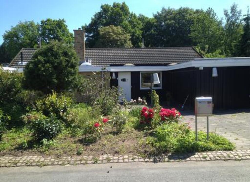 Our garden when seen from the forest edge 