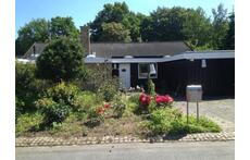 Our garden when seen from the forest edge 