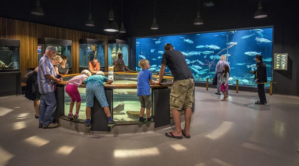 The Fisheries and Maritime Museum in Esbjerg
