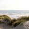 The beautiful West Coast of Denmark