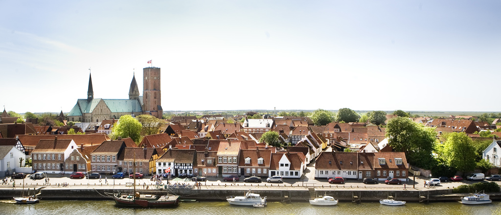 Beautiful Ribe