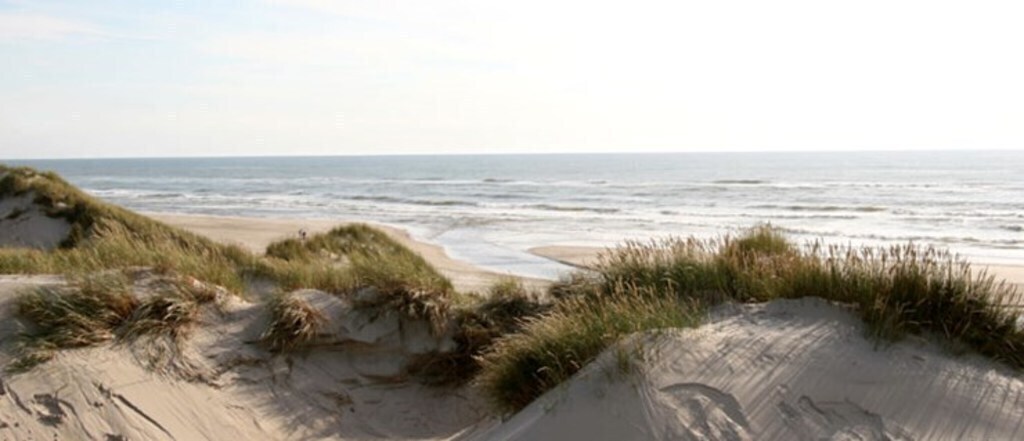 The beautiful West Coast of Denmark