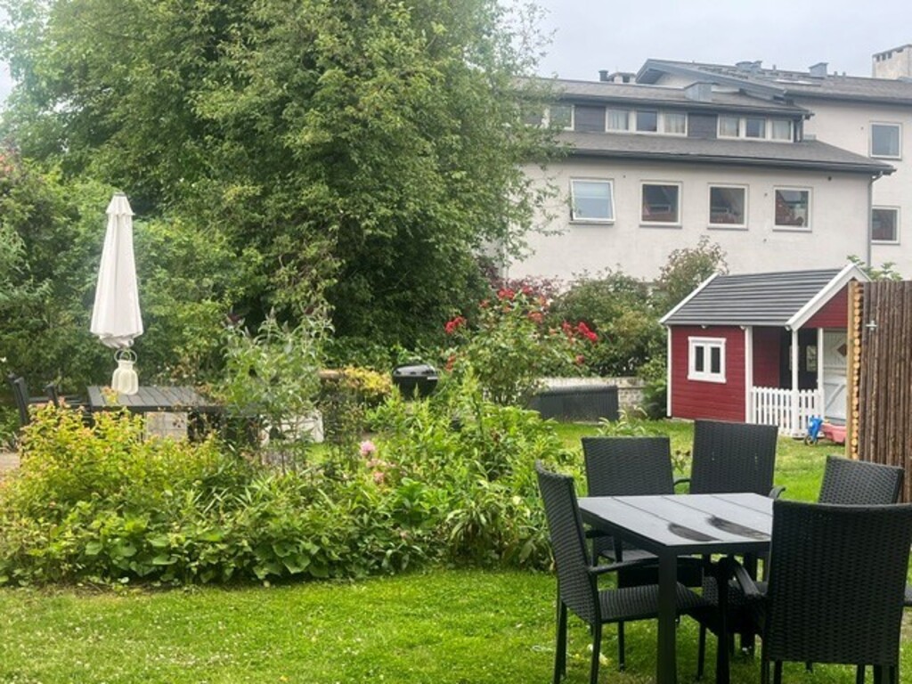 Our common garden