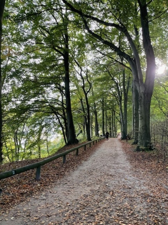 Path along the outskirts of Risskov forest (5-10 min bike)
