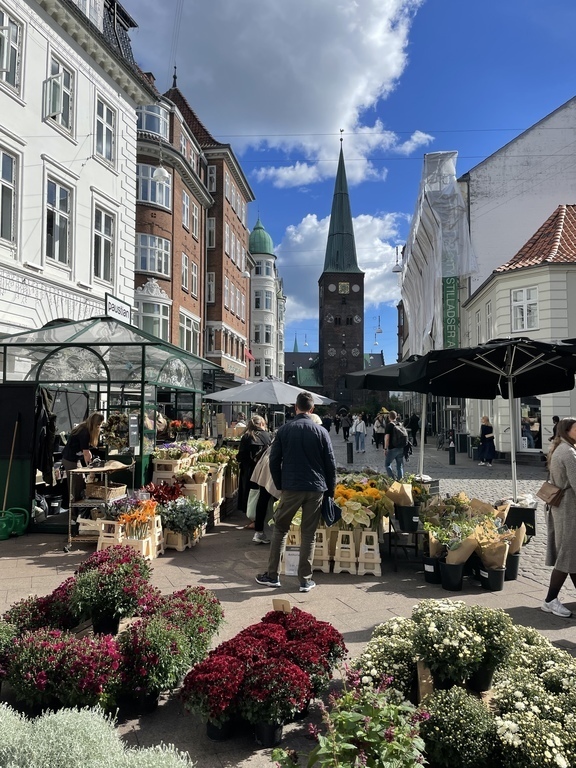 Looking towards the cathedral 