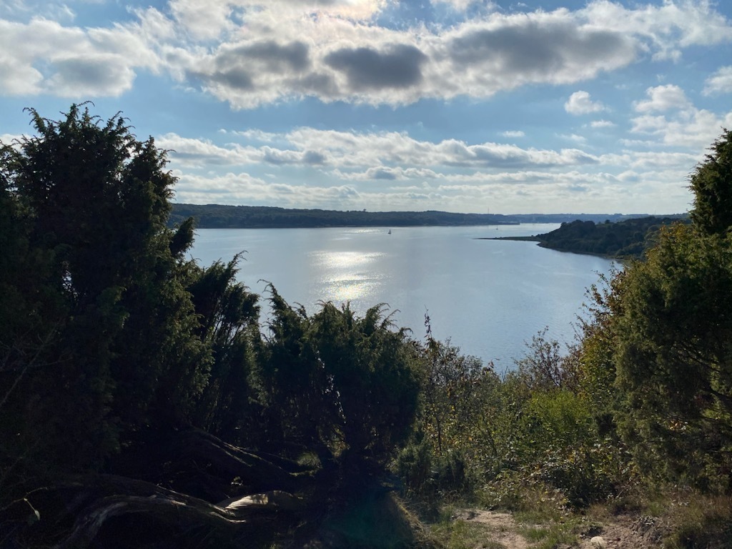 Wonderful hike in Bramslev Bakker (1 hrs drive) 