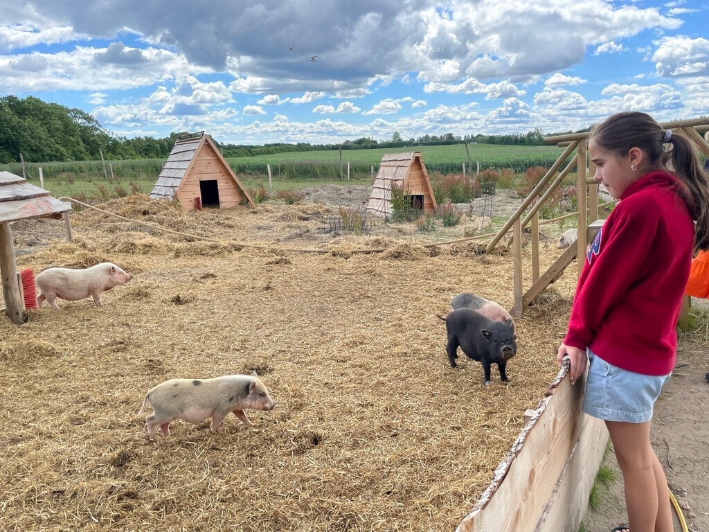 Gartnergården where the children can pat the animals (10 mins - car)
