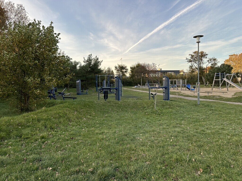 Working out next to the playground