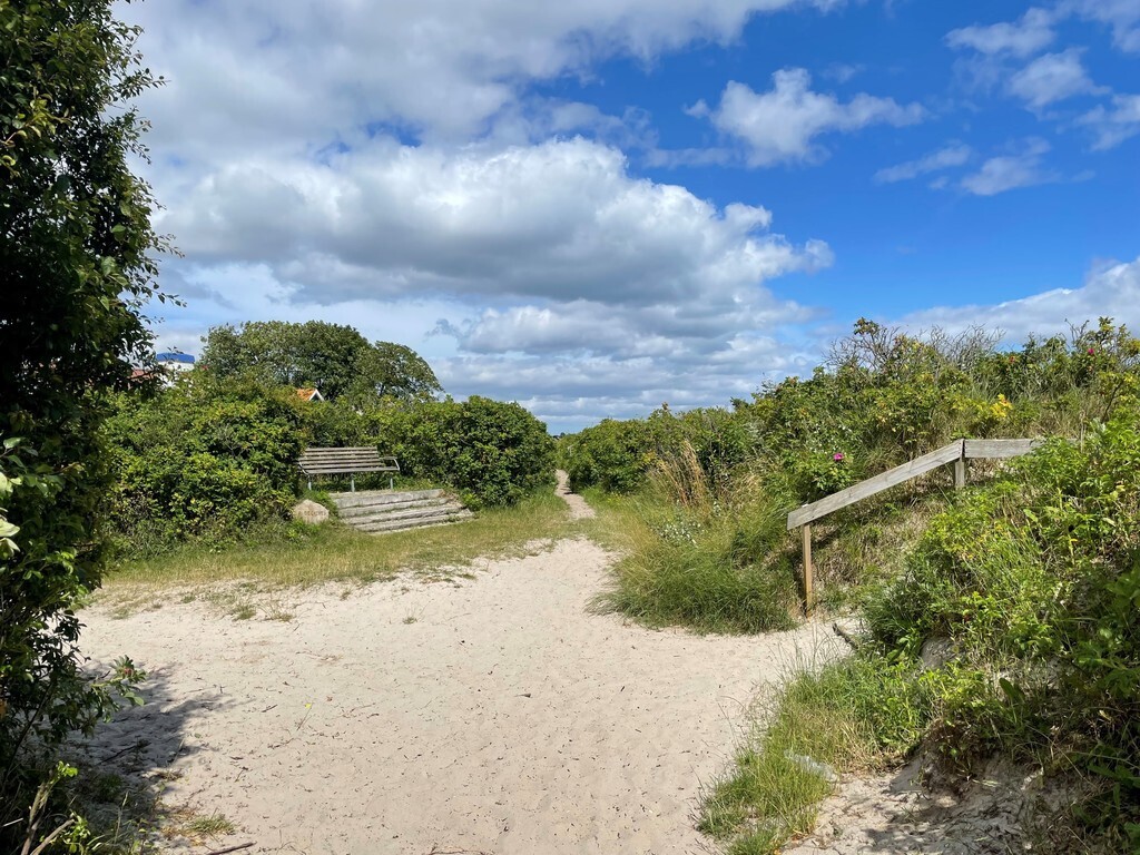 Path along the beach