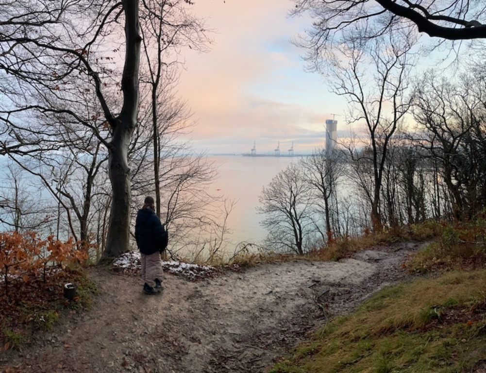 Walking in Risskov forest overlooking Aarhus Ø