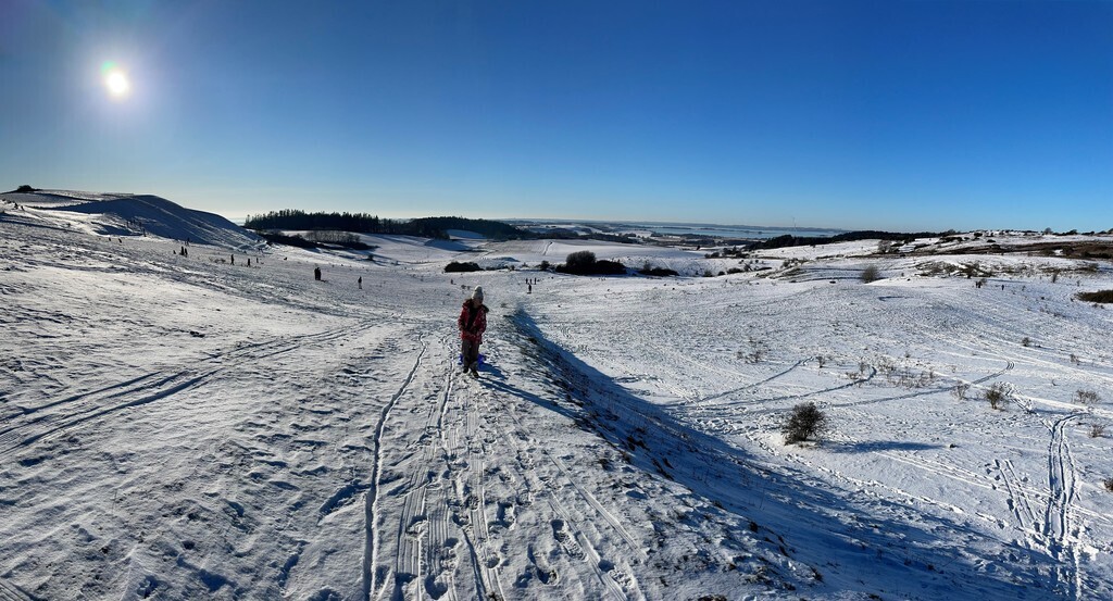 Sledging in Mols Bjerge (national park - 40 min. car) - however, it seldoms snows in DK  