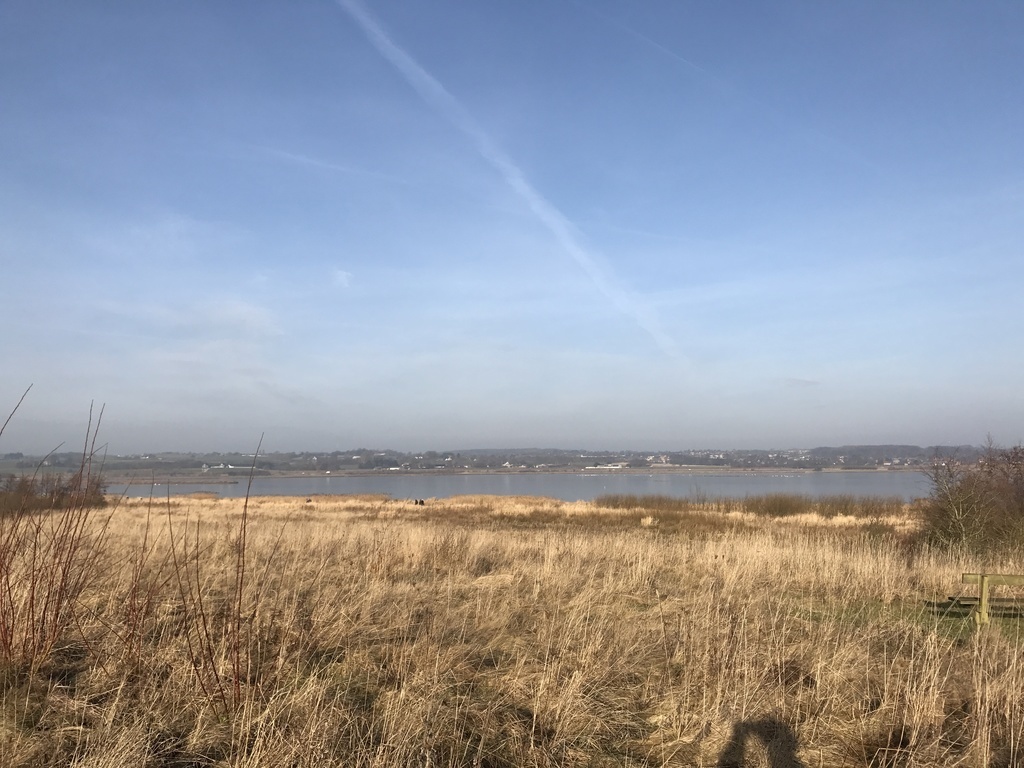 The lake Egå Engsø (3 km), Bird reserve. Great for biking, running or walking