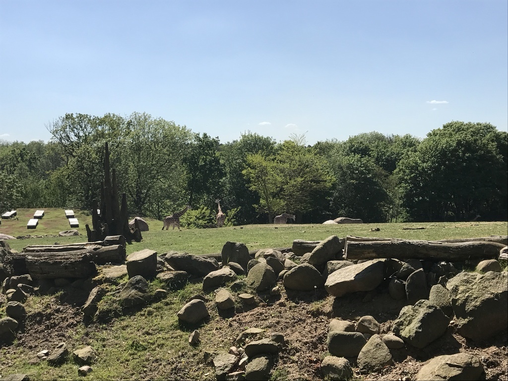 Safari park - Ree park (35 min.) 