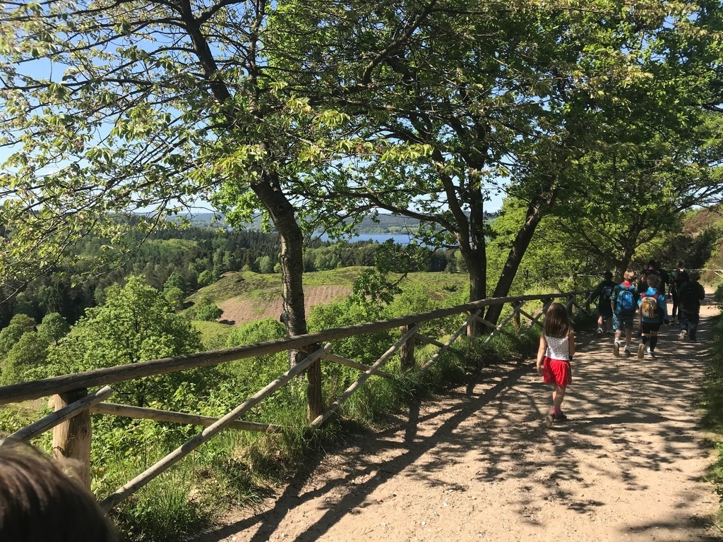Walking at Himmelbjerget (35 min, car) 