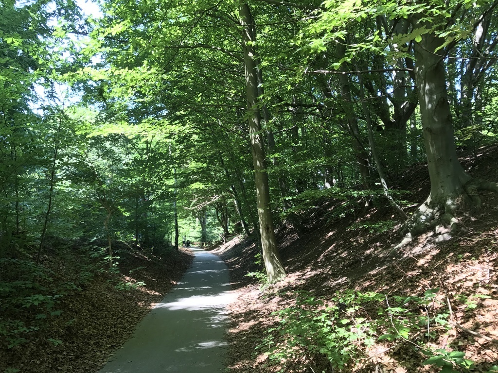 Biking through the forest to Moesgaard beach - or the MOMU museum