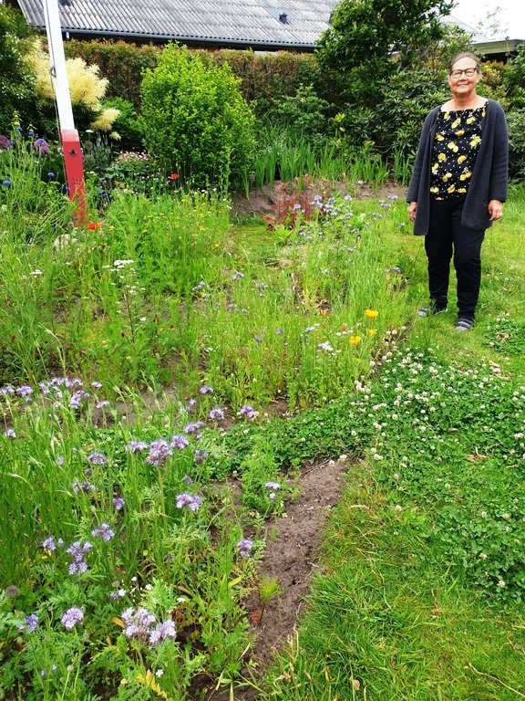 Wild garden with natural flowers