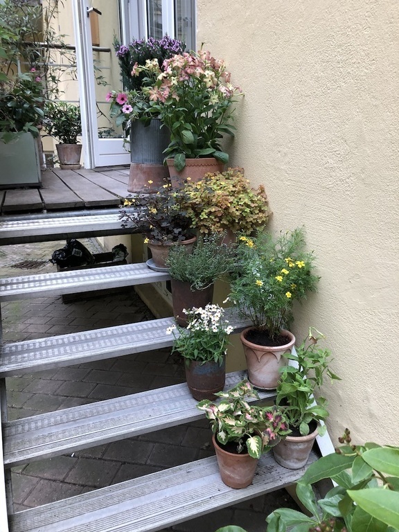 The staircase from our kitchen to the garden
