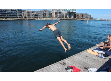 Take a swim in Nordhavn 5 minutes from our home