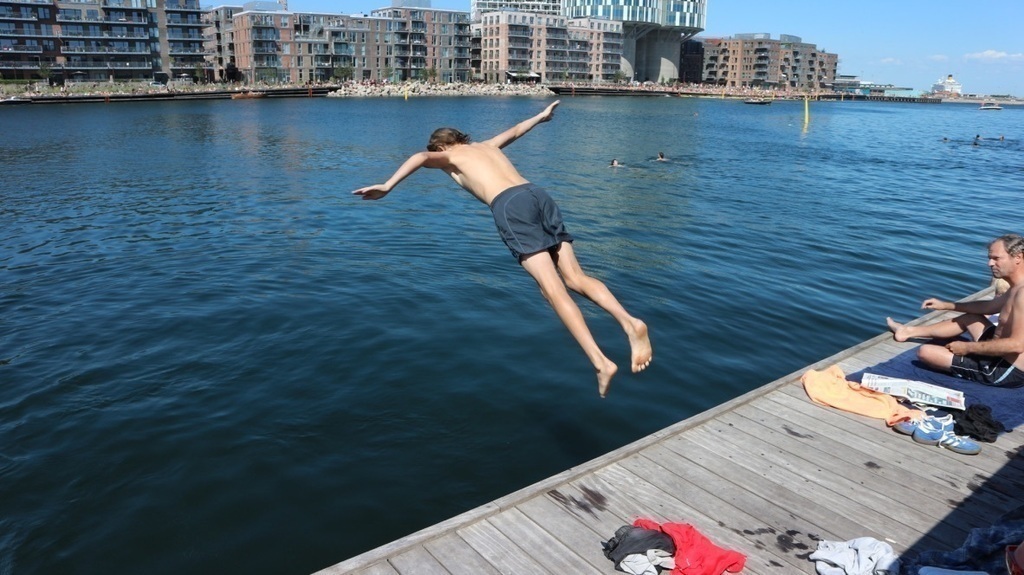 Take a swim in Nordhavn 5 minutes from our home