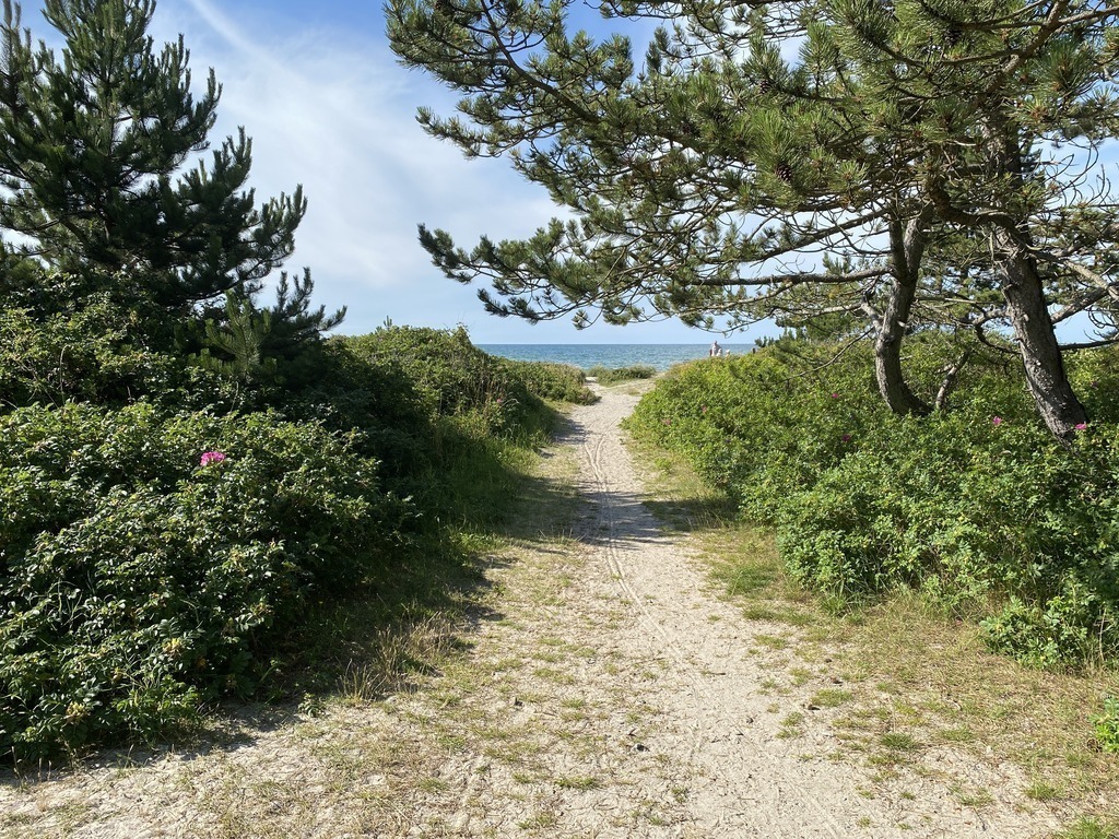 på vej til stranden