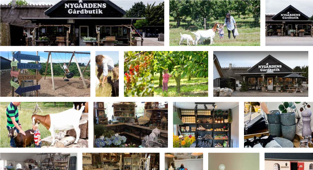 Nygården - gårdbutik med cafe, legeplads og klappedyr fantastik for børn