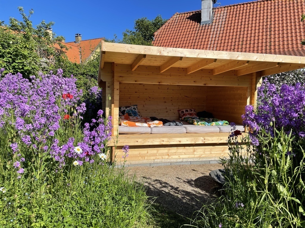 Shelter and fireplace in the backyard