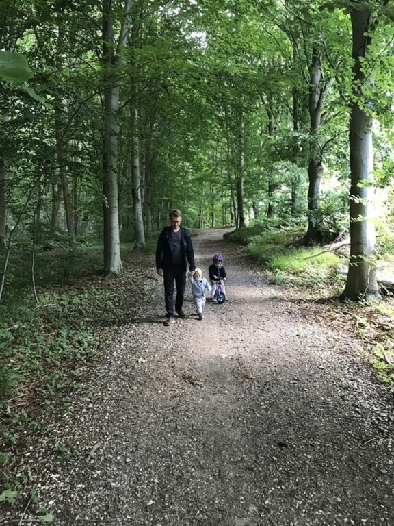 Forest just a few minutes walk from the house