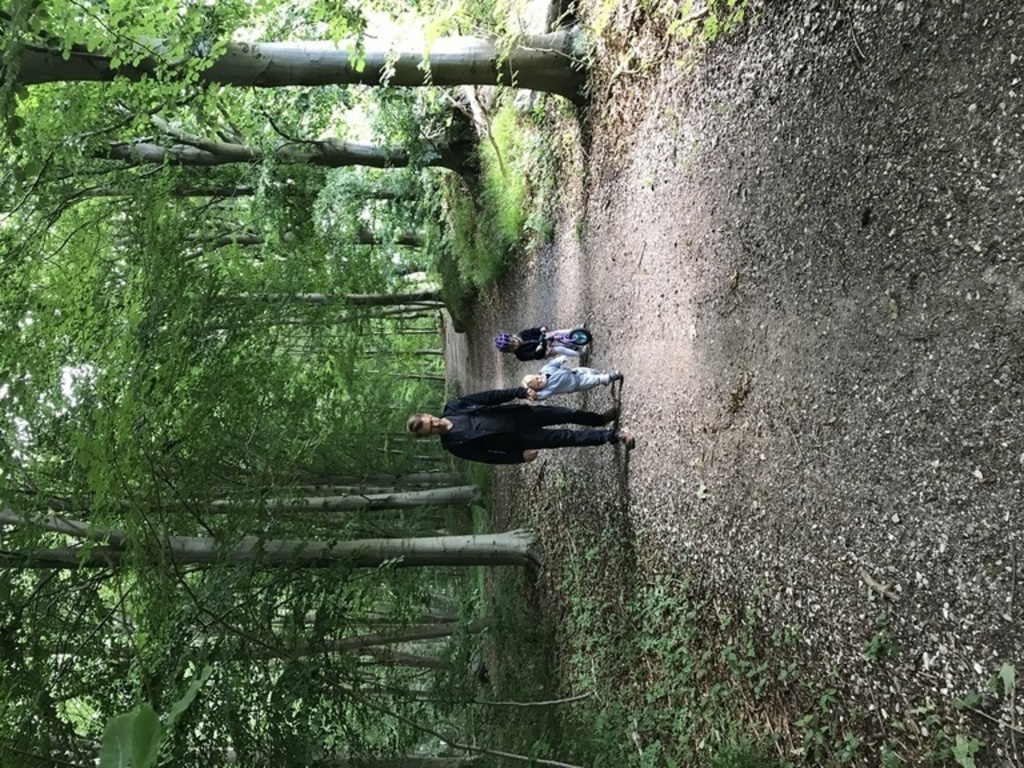 Forest just a few minutes walk from the house