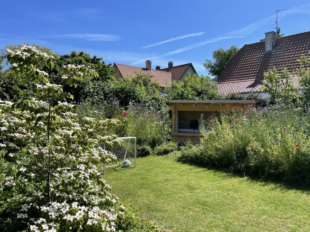The backyard with flowers, shelter and football goals