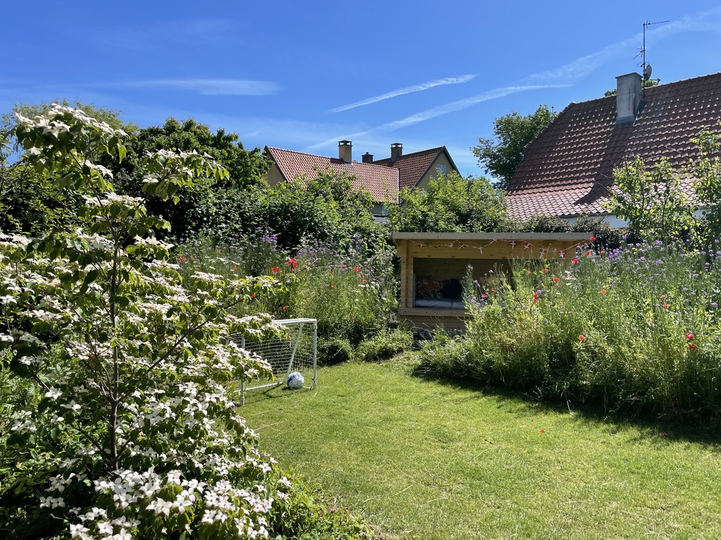 The backyard with flowers, shelter and football goals