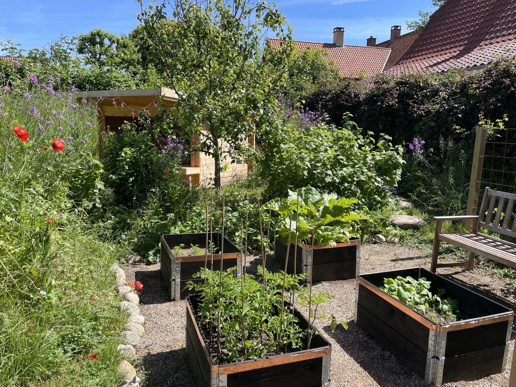 Tomatoes and carrots :)