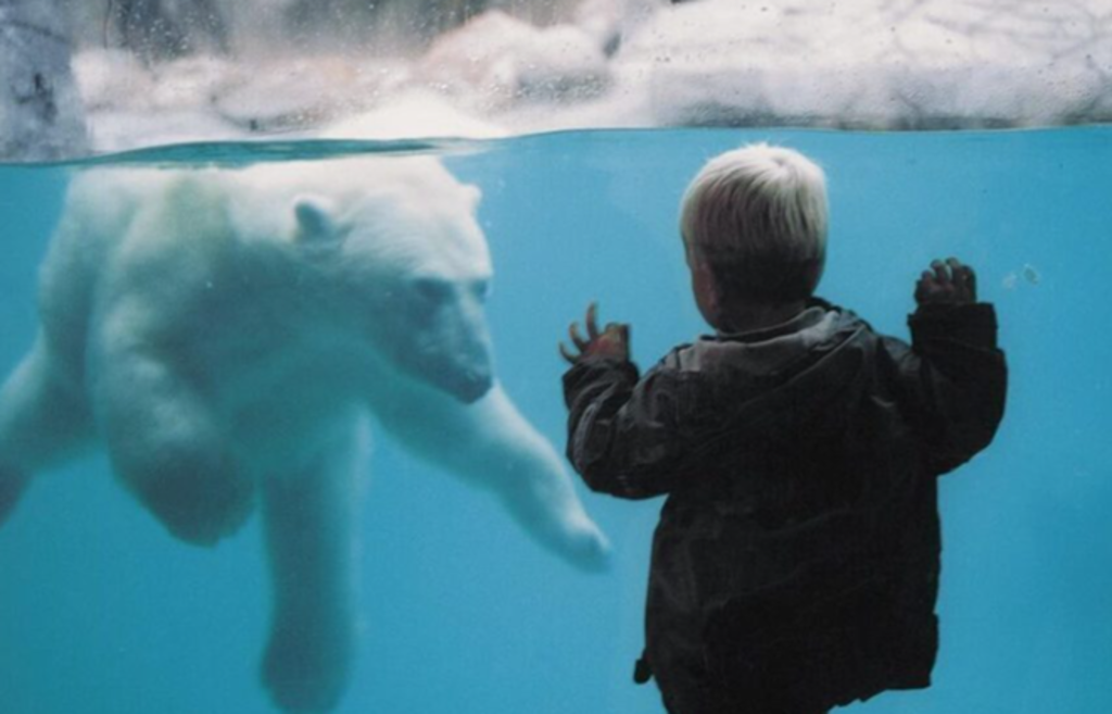 Aalborg Zoo