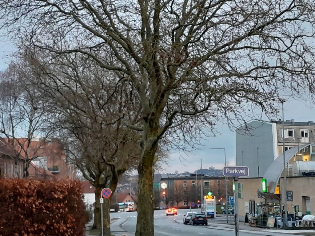A bit of the surroundings