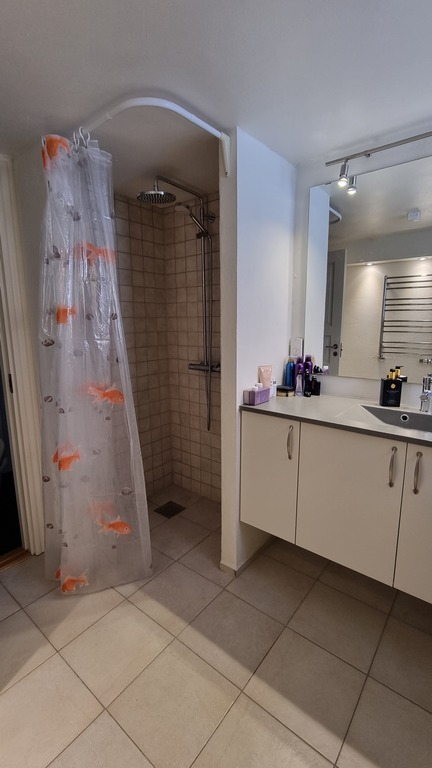 Second bathroom, cellar