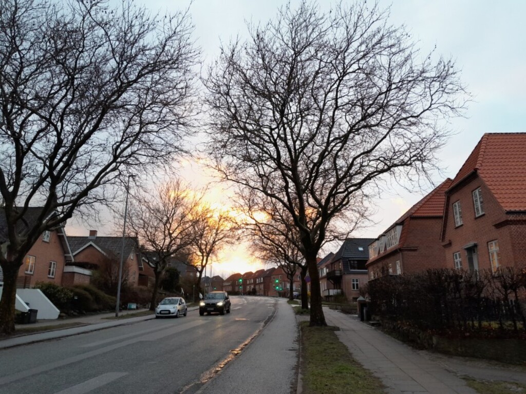 The street where we live 