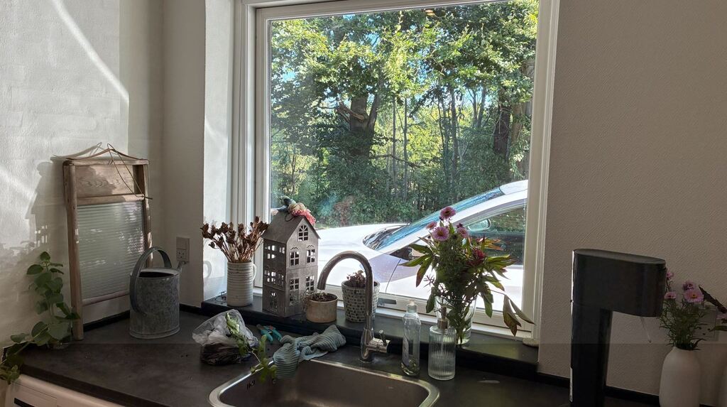 Forrest view from scullery