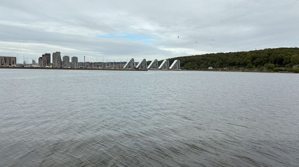 Vejle marina and Bølgen