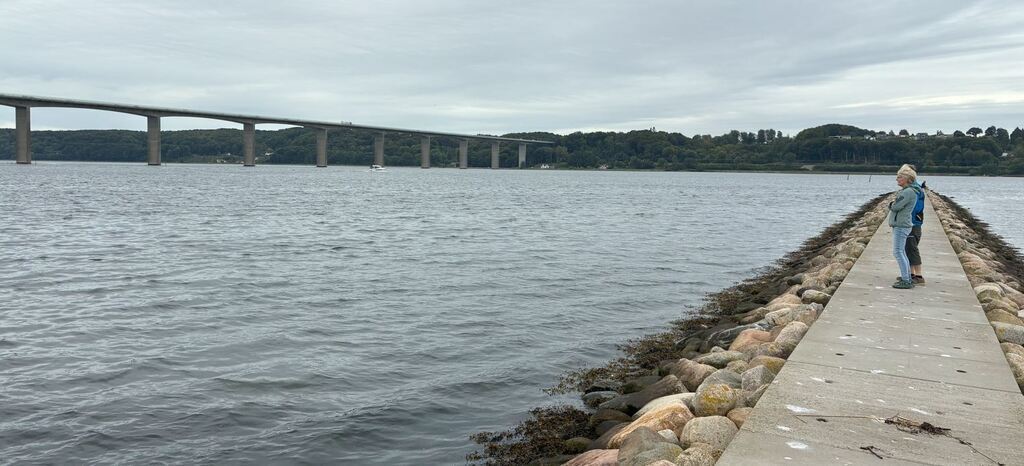 The Vejle fjord bridge