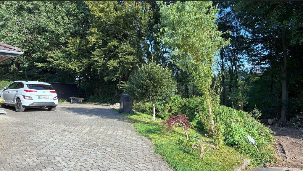 Forrest view from street