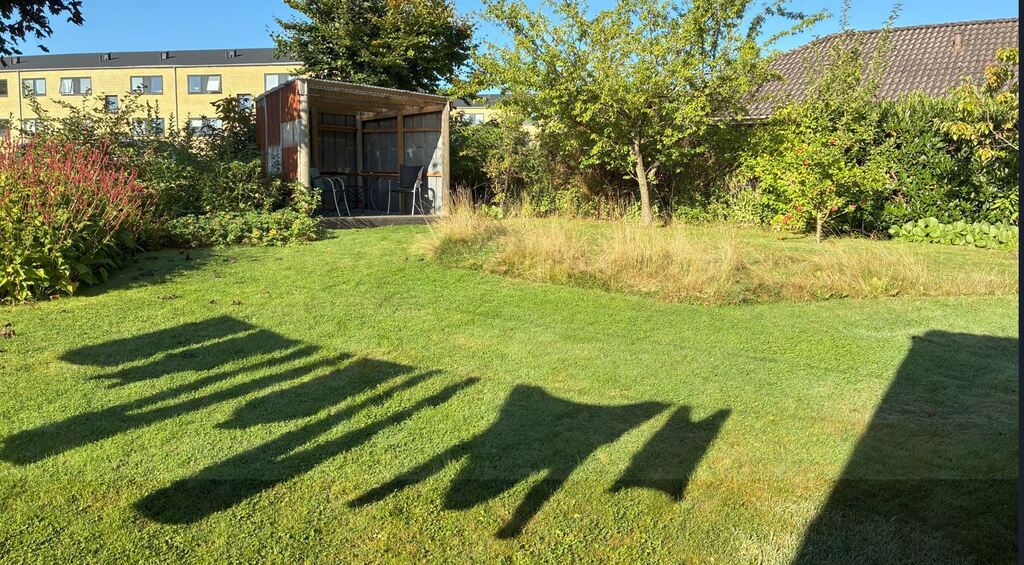 Garden view with shack